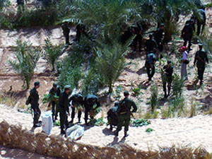 Algeria : 5.641 drug smugglers including 52 foreigners arrested