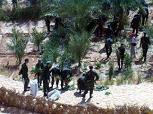 Algerian woman sentenced to life imprisonment for cultivating drugs