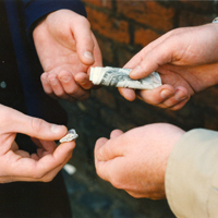 Security services arrest drug dealers in Algiers