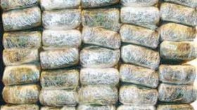 Five tons of drugs seized east of Algiers