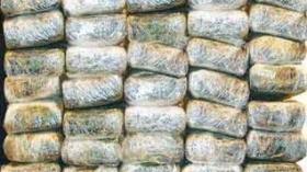 Attempt of smuggling 60 quintals of drugs in southern Algeria