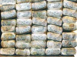 Attempt of smuggling 60 quintals of drugs in southern Algeria