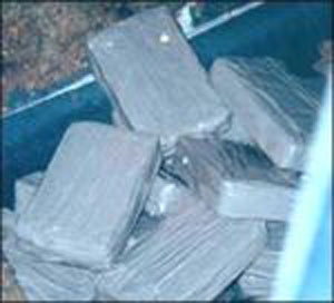 700 kilos of Cannabis seized west of Algeria