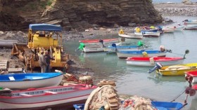 انطلاق حملة تقييم الموارد الصيدية السطحية للساحل الجزائري