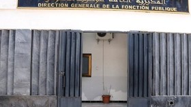 “هبلة” مدفوعة الأجر!