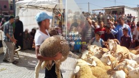 جمعيات توزع الأضاحي تحت شعار “افعل الخير وتصور معه!”