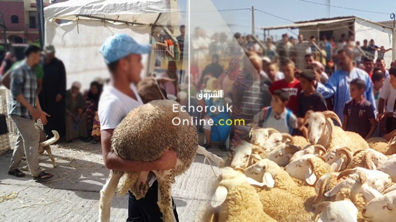 جمعيات توزع الأضاحي تحت شعار “افعل الخير وتصور معه!”