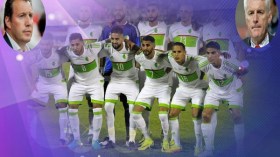 هوغو بروس: أنصح ويلموتس بتدريب منتخب الجزائر