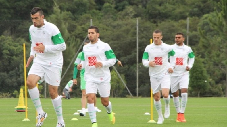 نصف مليار لكل لاعب جزائري في حال بلوغ ثمن نهائي المونديال