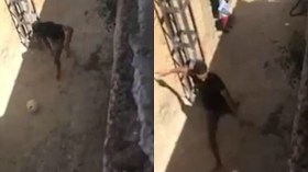 محرز يُداعب الكرة بِقدمَين حافيتَين في تلمسان