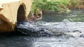 مسابح للمياه القذرة وتلاميذ مهدّدون بالأمراض وسط ورقلة