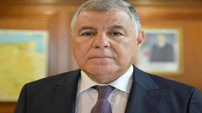 وزير الطاقة يعد بحل مشكل الكهرباء بقرية طارات الحدودية بإيليزي