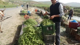 الطريق الوطني رقم 11.. هنا يباع كل شيء