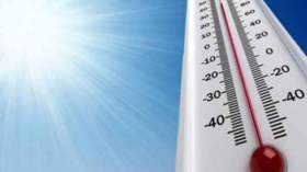 الحر يدخل 60 شخصا المستشفى بتيزي وزو