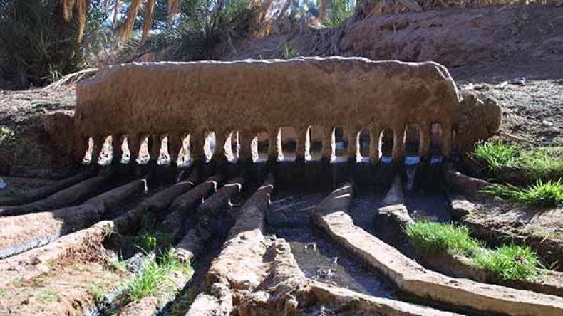 التوصيلات العشوائية للبساتين بالمياه تخلف أزمة خانقة بأدرار