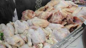 “الريفيون” والثلوج يلهبان أسعار الدجاج والخضر بالبويرة