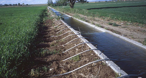 Programme pluriannuel de rationalisation de l’eau dans l’agriculture
