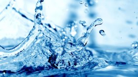 ..كفى تبذيرا !