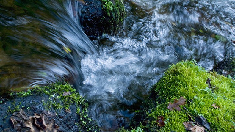 مياه الينابيع تتغلب على مياه الحنفية