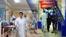 4 آلاف جزائري في المستشفيات والمتهم بعوضة النمر