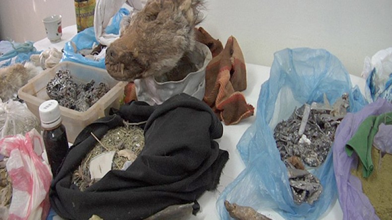 شبكات الشعوذة والسحر تجند مراهقين لاصطياد الذئاب والضباع لإستحضار الجن