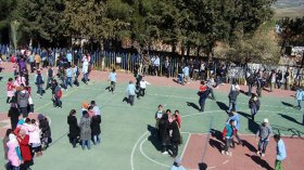 القمل يغزو المدارس ودور الحضانة وتهافت على الصيدليات لاقتناء الأدوية