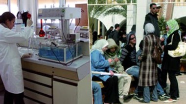 Transformation de l’école normale d’enseignement technologique en école nationale polytechnique