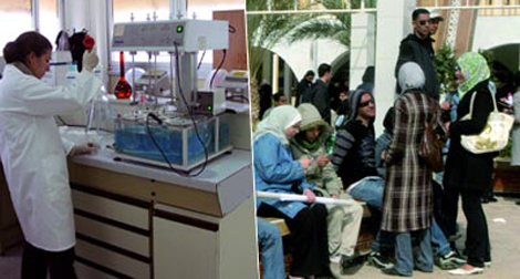Transformation de l’école normale d’enseignement technologique en école nationale polytechnique