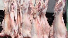 وزير الثروة الحيوانية السوداني يؤكد جاهزية أسواق الجزائر لاستقبال لحوم بلاده