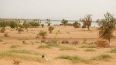 Désertification: réunion à Alger sur la coordination régionale