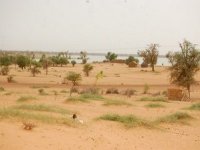 Désertification: réunion à Alger sur la coordination régionale