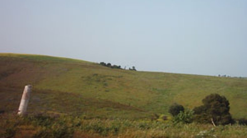 تيبازة تمنح أراضي المناطق الصناعية “المُهملة” للمستثمرين