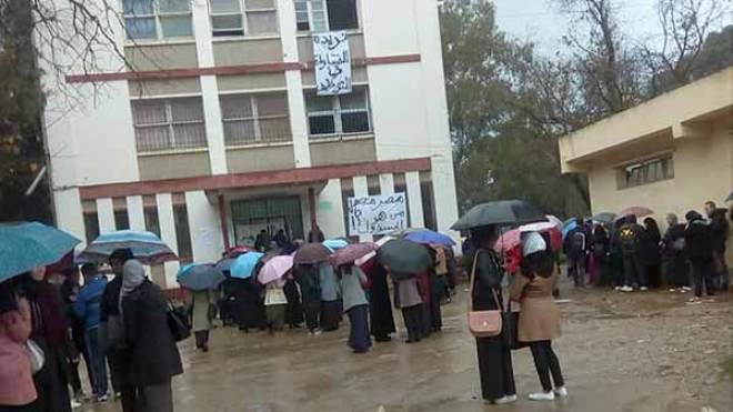 طلبة قسم علم المكتبات والتوثيق في إضراب مفتوح