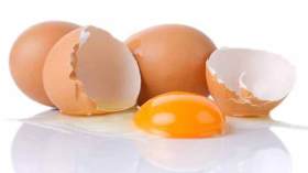 بيض تالف لتصنيع المرطبات والحلويات في المخابز !