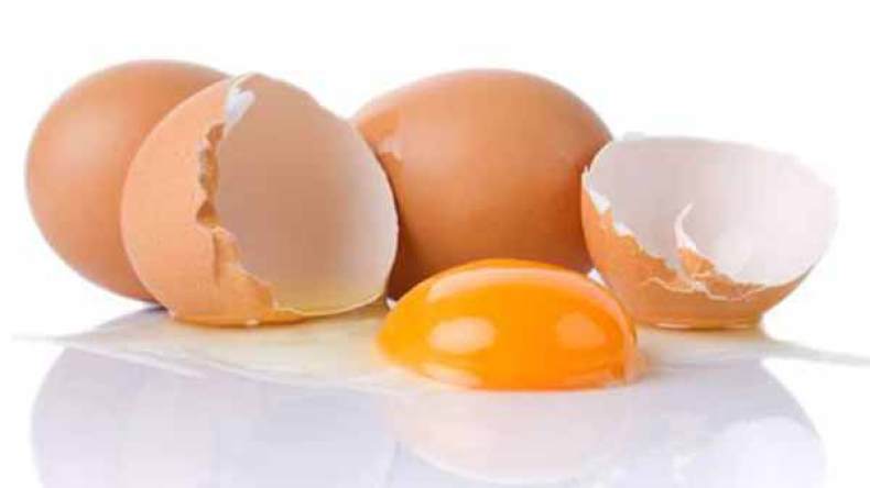 بيض تالف لتصنيع المرطبات والحلويات في المخابز !
