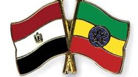 هل قبلت الجزائر لعب دور الوسيط بين مصر وإثيوبيا؟