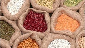 محلات عمومية لبيع البقول الجافة