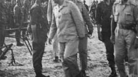 القوات الجزائرية تحمي خاصرة الجيش المصري