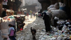 1,000 illegal immigrants flee Egypt to Algeria