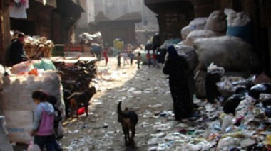 1,000 illegal immigrants flee Egypt to Algeria