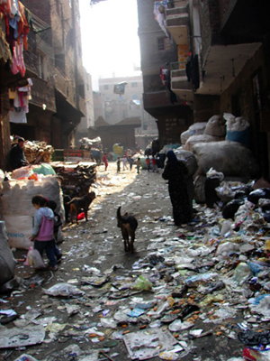 1,000 illegal immigrants flee Egypt to Algeria