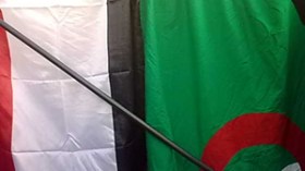 العلاقات الجزائرية المصرية وُلدت من جديد بعد إسقاط مبارك