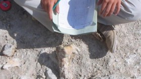 قطع أثرية وحضارة تاريخية في ورشة لشركة كوجال