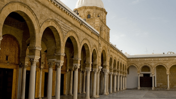 فضل الزيتونة والأزهر