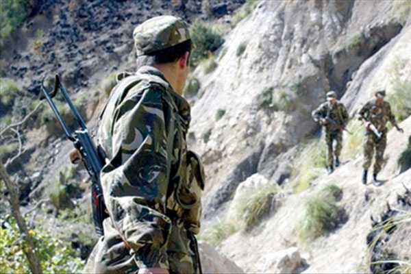 Elimination de cinq terroristes à Aïn Defla