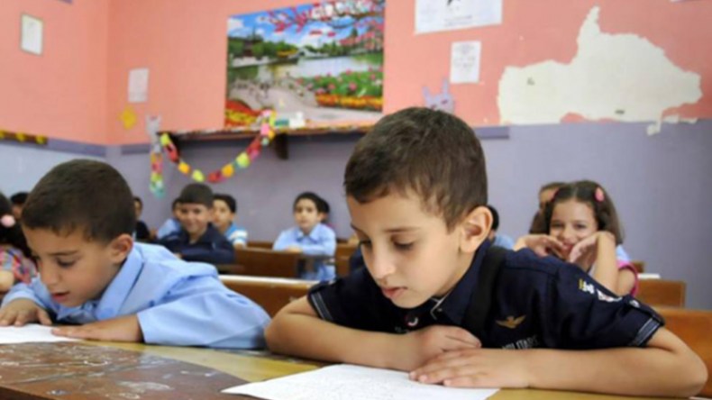 سمينة ورخيصة!