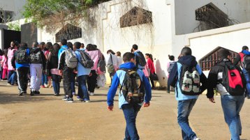 إنتاج الباندية!