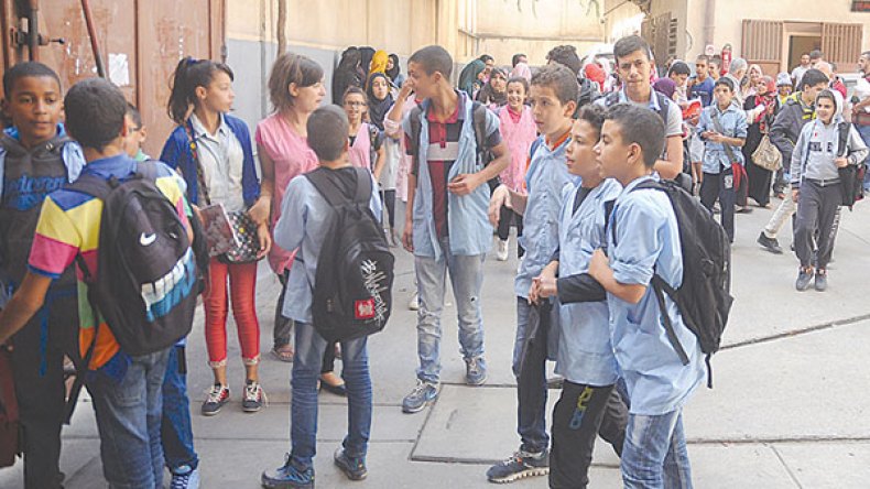 البريكولاج والتغبية بالكوبياج!