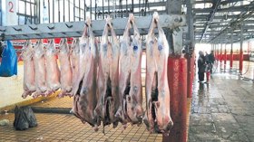 والي العاصمة يأمر بإعادة فتح مذبح الحراش