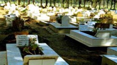 Opération d’entretien et d’embellissement des cimetières d’Alger